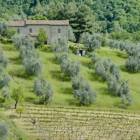 Agriturismo Bindozzino-3